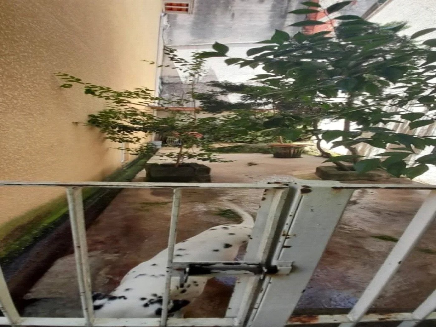 Casa à venda com 2 quartos no condomínio Classic Residence, São Paulo - SP