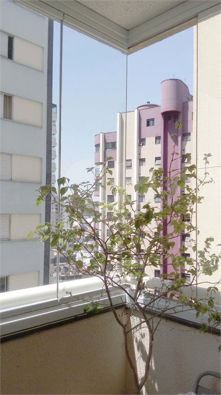Apartamento à venda com 3 quartos, sendo 1 suíte, em Casa Verde, São Paulo, SP