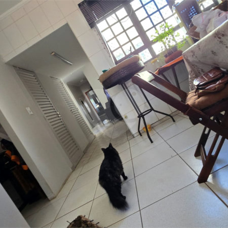 Salão à venda ou para alugar no Centro, Araraquara, SP