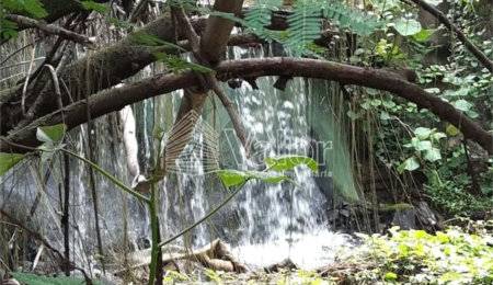 Chácara à venda com 4 quartos em Serra Dágua, Porto Ferreira, SP