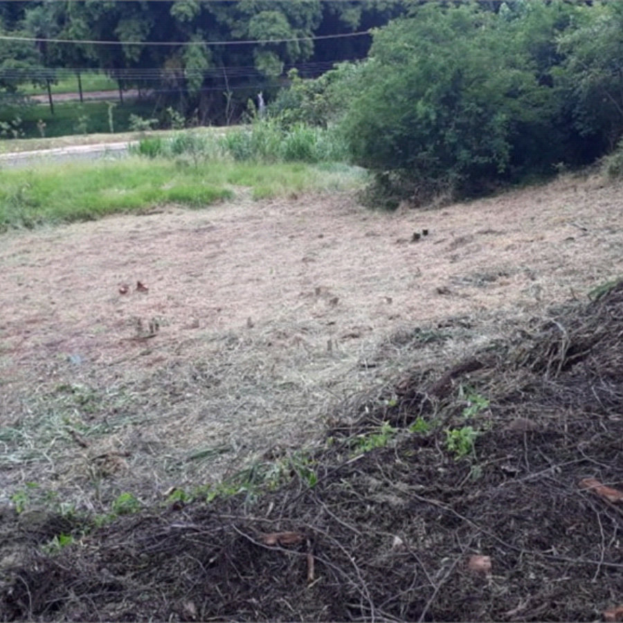 Terreno com 453,50 m² de área total.