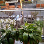 Apartamento à venda com 2 quartos em Tatuapé, São Paulo, SP