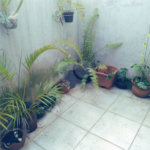 Casa à venda com 3 quartos, sendo 1 suíte, em Santana, São Paulo, SP