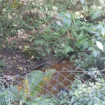 Casa à venda com 3 quartos, sendo 1 suíte,  em Água Espraiada (caucaia do Alto), Cotia, SP
