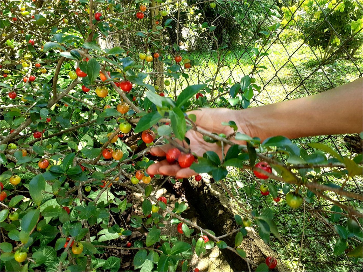 Terreno à venda no condomínio Village de Atibaia, Atibaia - SP