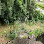 Terreno à venda em Horto, São Paulo, SP
