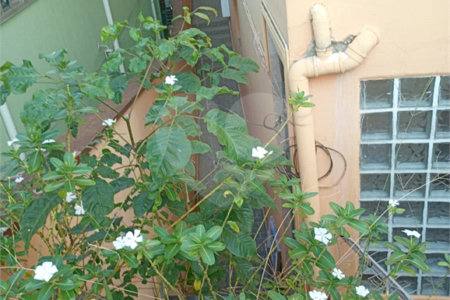Casa à venda com 3 quartos em Parada Inglesa, São Paulo, SP