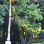Chácara à venda com 8 quartos, sendo 3 suítes, no Centro, Bom Jesus dos Perdões, SP
