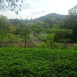 Sítio à venda com 9 quartos, sendo 5 suítes, em Portão, Atibaia, SP