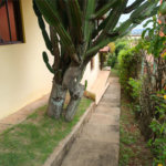 Casa à venda com 4 quartos, sendo 2 suítes,  em Country Residencial Felix, Bom Jesus dos Perdões, SP