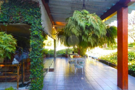 Casa Térrea à venda com 3 quartos, sendo 1 suíte,  em Chácara Monte Alegre, São Paulo, SP