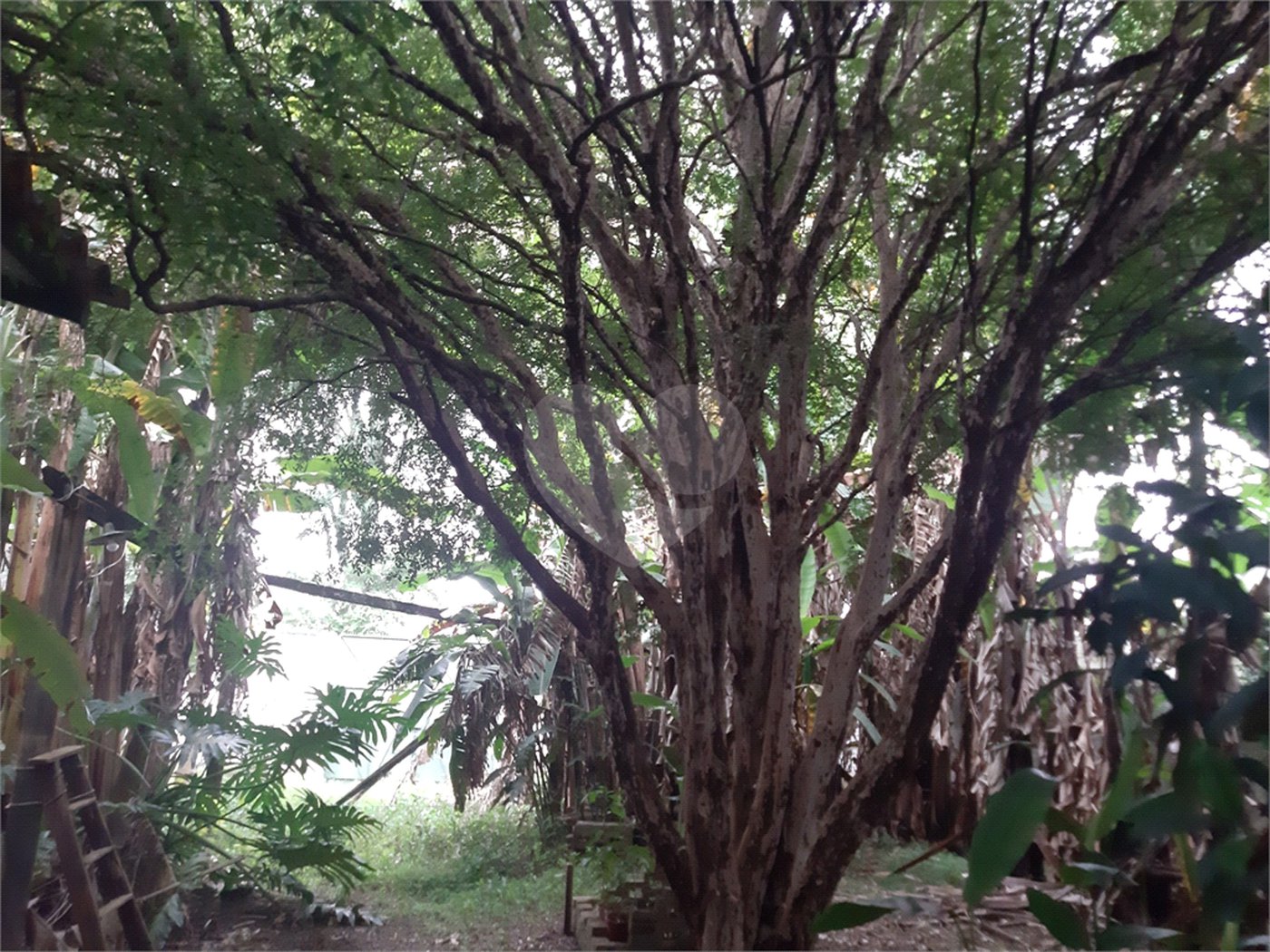 Terreno à venda em Vila Gustavo, São Paulo, SP