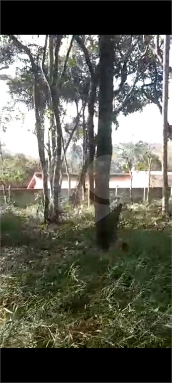 Terreno à venda em Luiz Fagundes, Mairiporã, SP