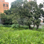 Terreno à venda em Jardim Guedala, São Paulo, SP