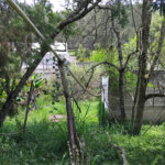 Chácara à venda com 2 quartos em Vila Caputera, Mogi das Cruzes, SP
