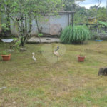 Chácara à venda com 4 quartos em Aguapeú, Itanhaém, SP