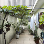 Casa Térrea à venda com 3 quartos, sendo 1 suíte,  em Parque Edu Chaves, São Paulo, SP