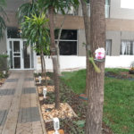 Apartamento à venda com 2 quartos em Lauzane Paulista, São Paulo, SP