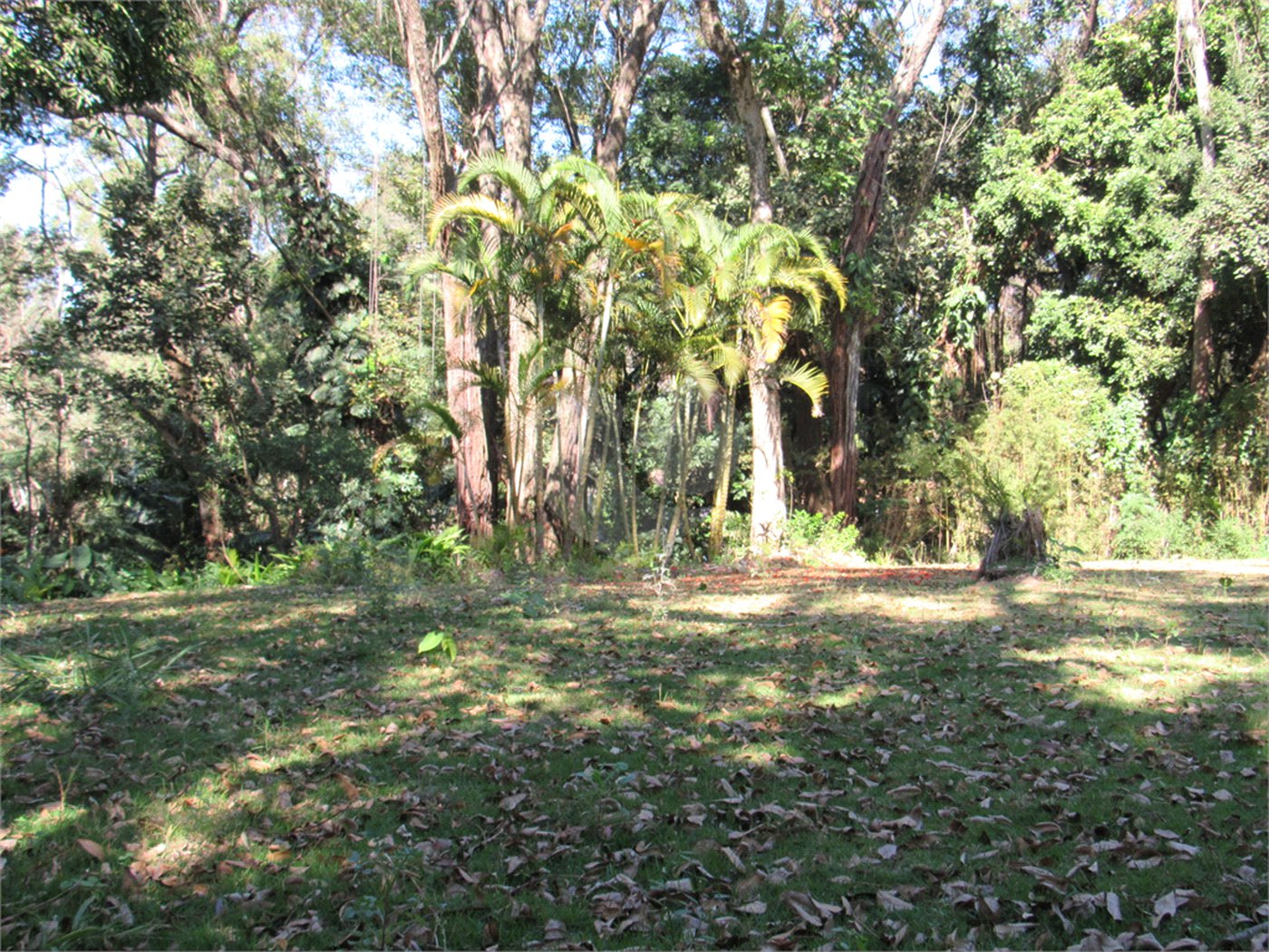 Terreno à venda em Chácara Flora, São Paulo, SP
