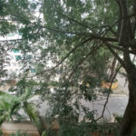 Apartamento à venda com 3 quartos em Paraisópolis, São Paulo, SP