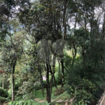 Casa à venda com 5 suítes no condomínio Alpes da Cantareira, Mairiporã - SP