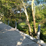 Sítio à venda com 6 quartos, sendo 2 suítes, em Nova Trieste, Jarinu, SP