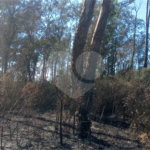 Terreno à venda em Caete (mailasqui), São Roque, SP