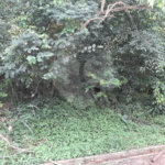 Terreno à venda em Roseira, Mairiporã, SP