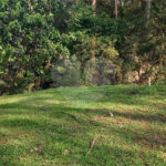 Terreno à venda no condomínio Reserva da Cantareiara, São Paulo - SP