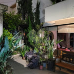 Casa à venda com 3 quartos, sendo 2 suítes, em Vila Mariana, São Paulo, SP