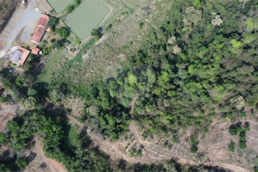 FAZENDA FORTALEZA, Caldas - MG
