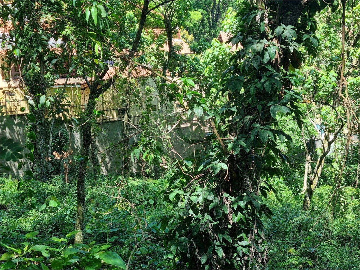 Terreno à venda no condomínio Horto do Ypê, São Paulo - SP