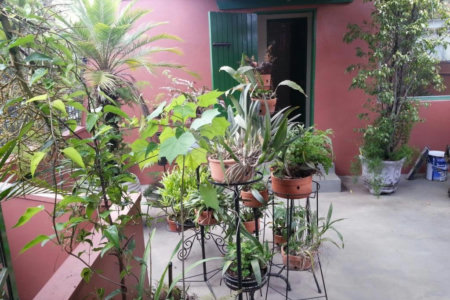 Sobrado à venda com 1 quarto em Chácara Santo Antônio (zona Sul), São Paulo, SP