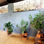 Casa à venda com 3 quartos, sendo 1 suíte, em Campos Elíseos, Ribeirão Preto, SP