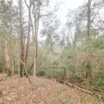 Terreno à venda no condomínio Vale da Santa Fé, Vinhedo - SP