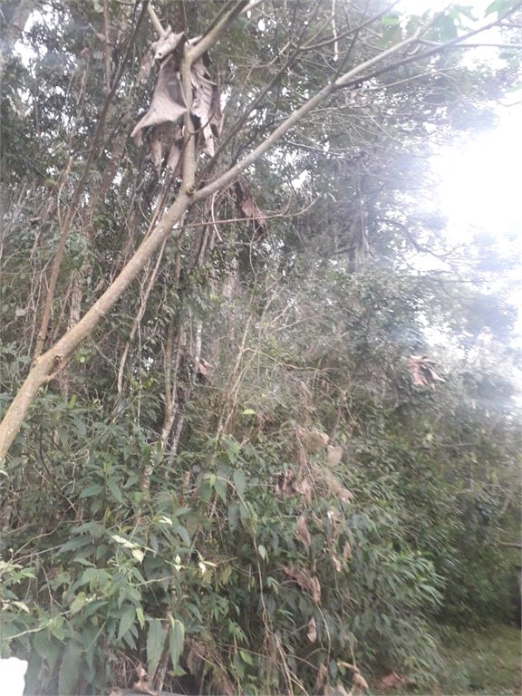 Terreno à venda em Suasalito, Mairiporã, SP