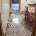 Casa à venda com 2 quartos em Vila do Encontro, São Paulo, SP