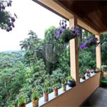 Casa à venda com 5 quartos, sendo 2 suítes, no condomínio Alpes da Cantareira, Mairiporã - SP