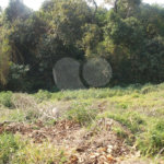 Terreno à venda no condomínio Alpes da Cantareira, Mairiporã - SP