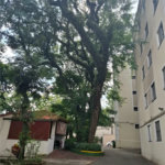 Apartamento à venda com 2 quartos em Jardim Leonor, São Paulo, SP