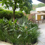 Apartamento à venda com 2 quartos em Barra Funda, São Paulo, SP