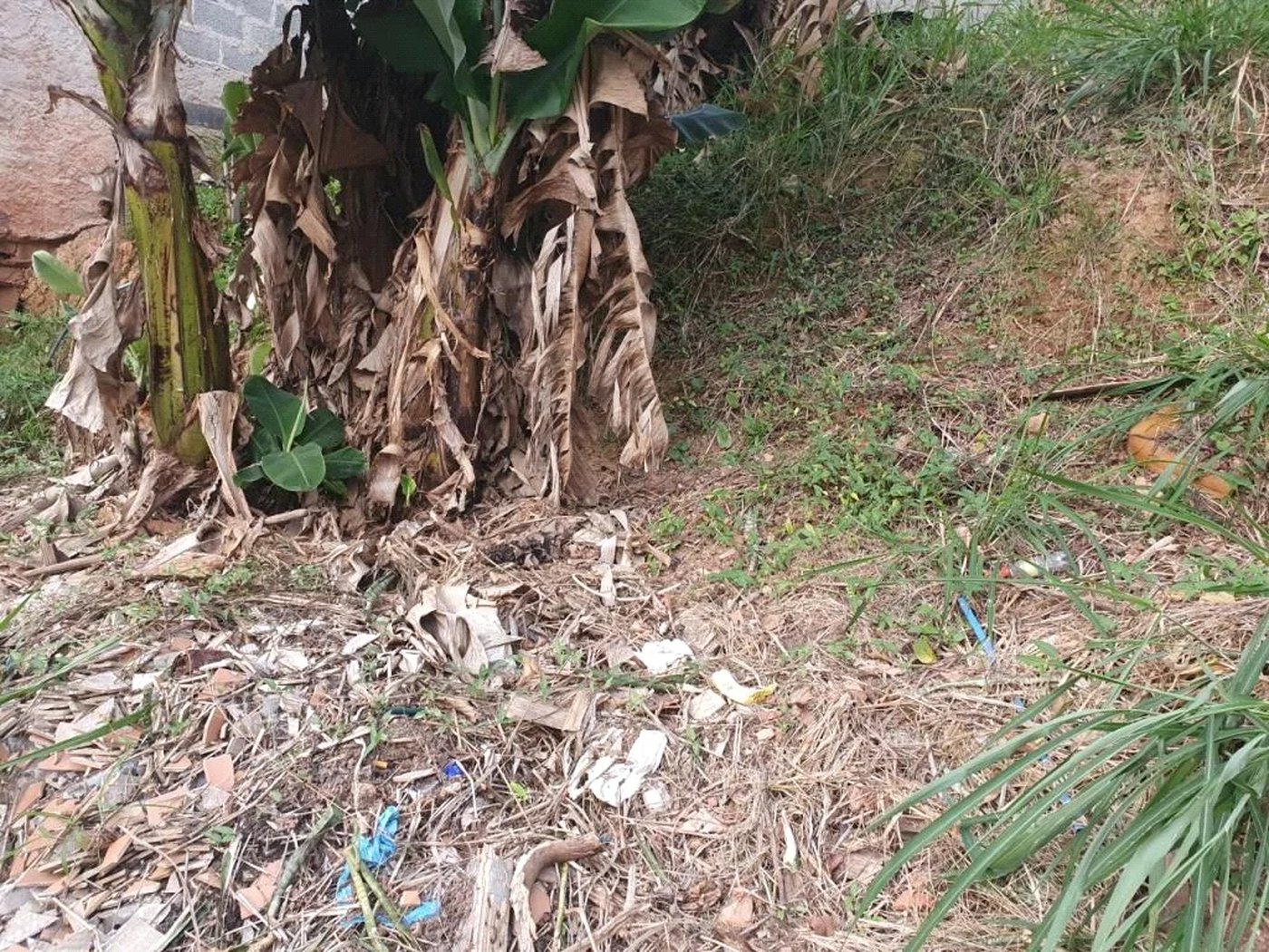 Terreno à venda em Vila Indiana, São Paulo, SP