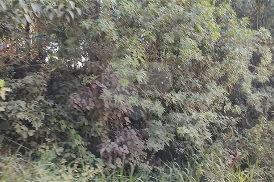 Terreno à venda em Luiz Fagundes, Mairiporã, SP