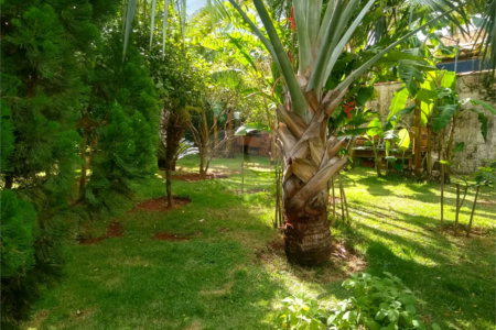 Casa à venda ou para alugar com 2 quartos, sendo 1 suíte,  em Vila Novo Horizonte, Itapetininga, SP