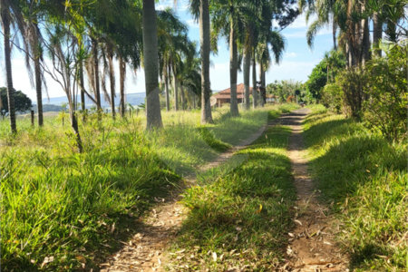 SÍTIO A VENDA - BELA VISTA