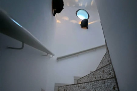 Cobertura à venda com 3 quartos, sendo 1 suíte, em Vila Andrade, São Paulo, SP