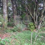 Chácara - São Carlos