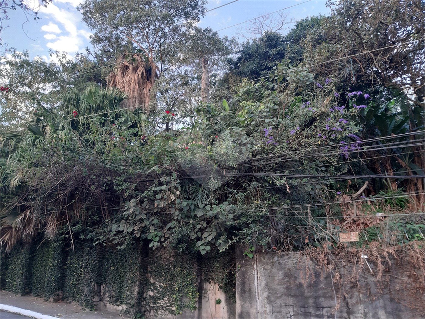 Terreno à venda em Vila Gustavo, São Paulo, SP