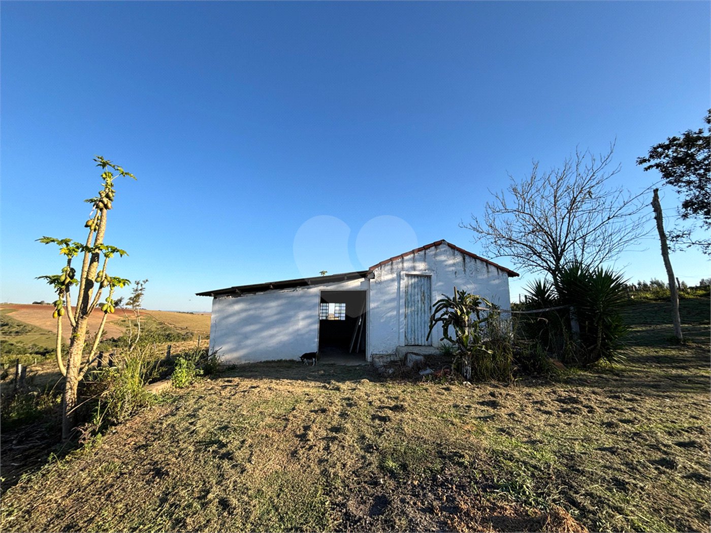 Sítio à venda com 3 quartos, sendo 1 suíte,  em Canta Galo, Itapetininga, SP