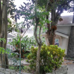 Sobrado à venda com 4 quartos, sendo 1 suíte, em Jardim Floresta, São Paulo, SP